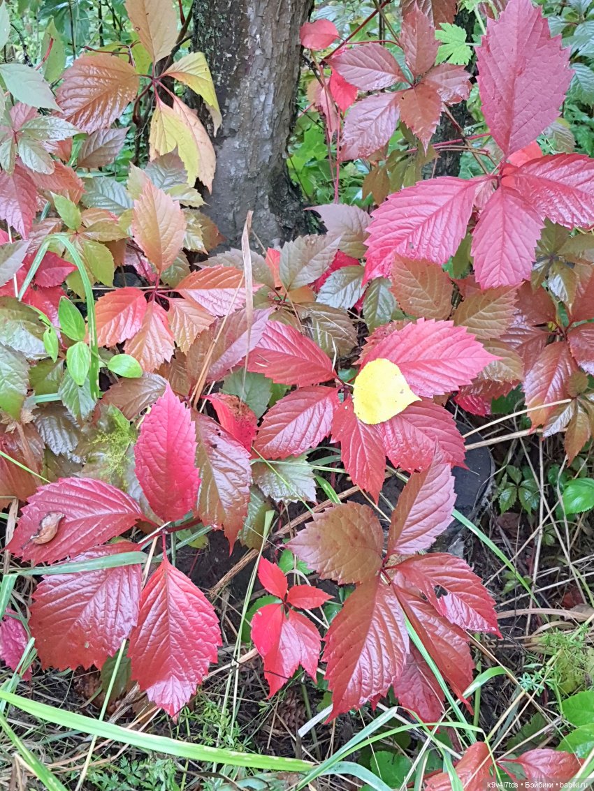 22 сентября. Старицкий Свято-Успенский Монастырь
