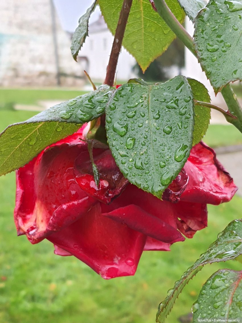 22 сентября. Старицкий Свято-Успенский Монастырь