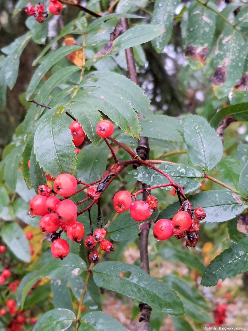 22 сентября. Старицкий Свято-Успенский Монастырь
