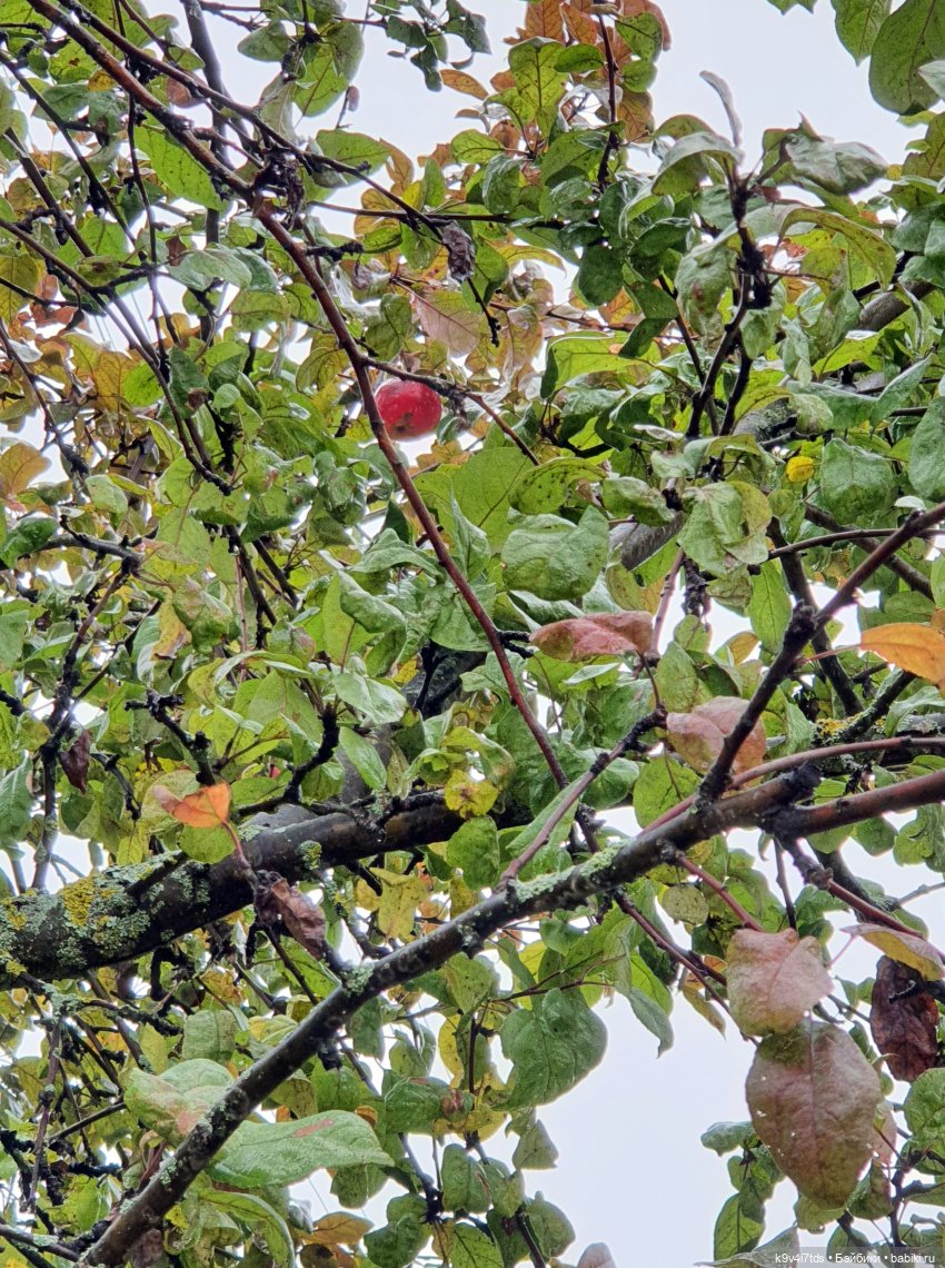 22 сентября. Старицкий Свято-Успенский Монастырь