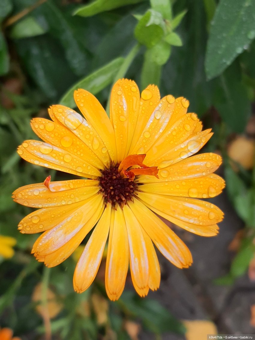 22 сентября. Старицкий Свято-Успенский Монастырь