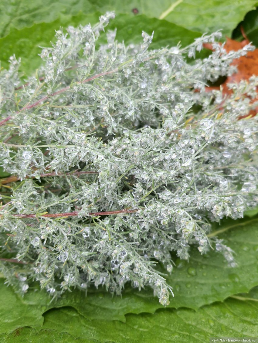 22 сентября. Старицкий Свято-Успенский Монастырь