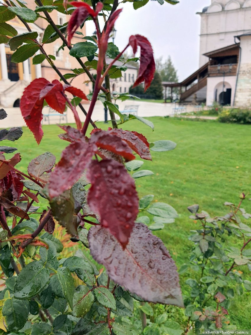 22 сентября. Старицкий Свято-Успенский Монастырь