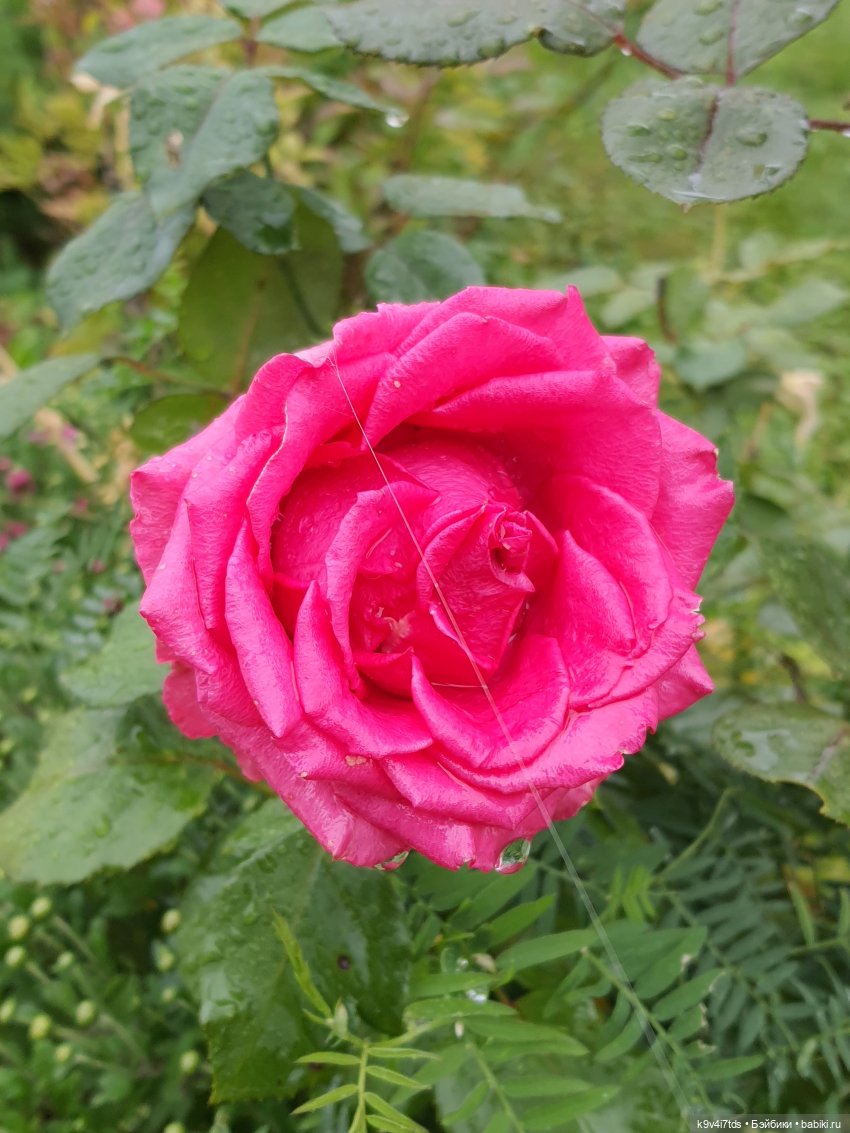 22 сентября. Старицкий Свято-Успенский Монастырь