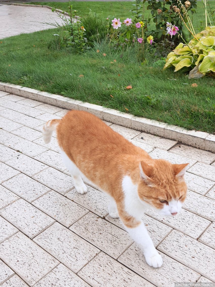 22 сентября. Старицкий Свято-Успенский Монастырь