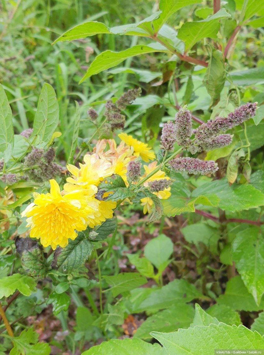 22 сентября. Старицкий Свято-Успенский Монастырь