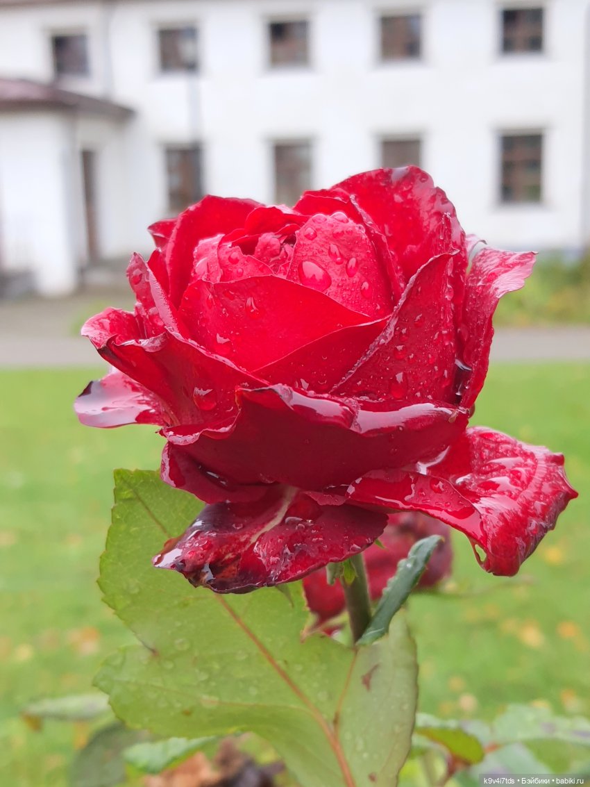 22 сентября. Старицкий Свято-Успенский Монастырь