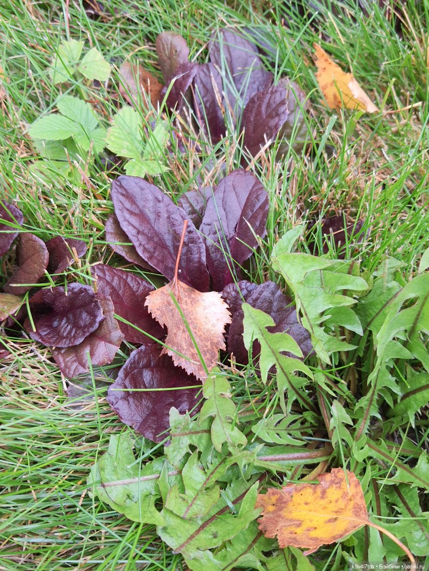 22 сентября. Старицкий Свято-Успенский Монастырь