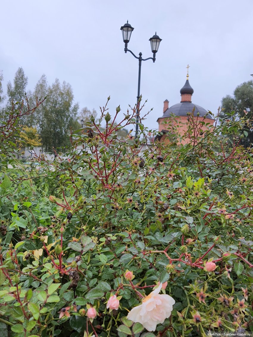 22 сентября. Старицкий Свято-Успенский Монастырь