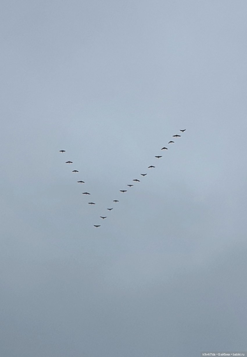22 сентября. Старицкий Свято-Успенский Монастырь