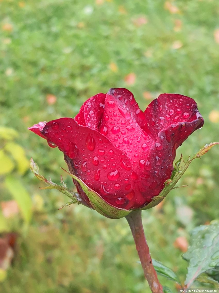 22 сентября. Старицкий Свято-Успенский Монастырь