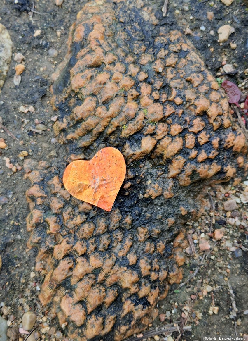 22 сентября. Старицкий Свято-Успенский Монастырь