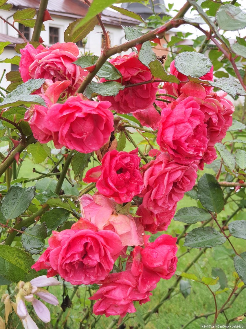 22 сентября. Старицкий Свято-Успенский Монастырь