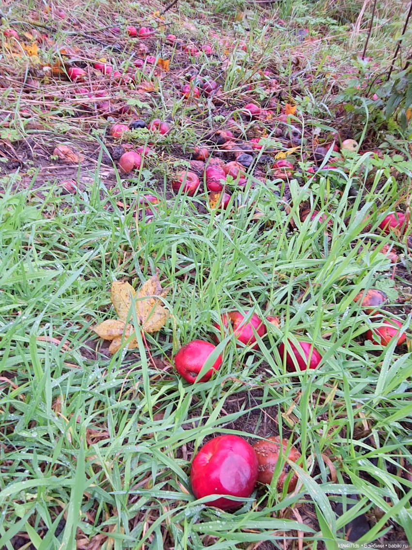 22 сентября. Старицкий Свято-Успенский Монастырь