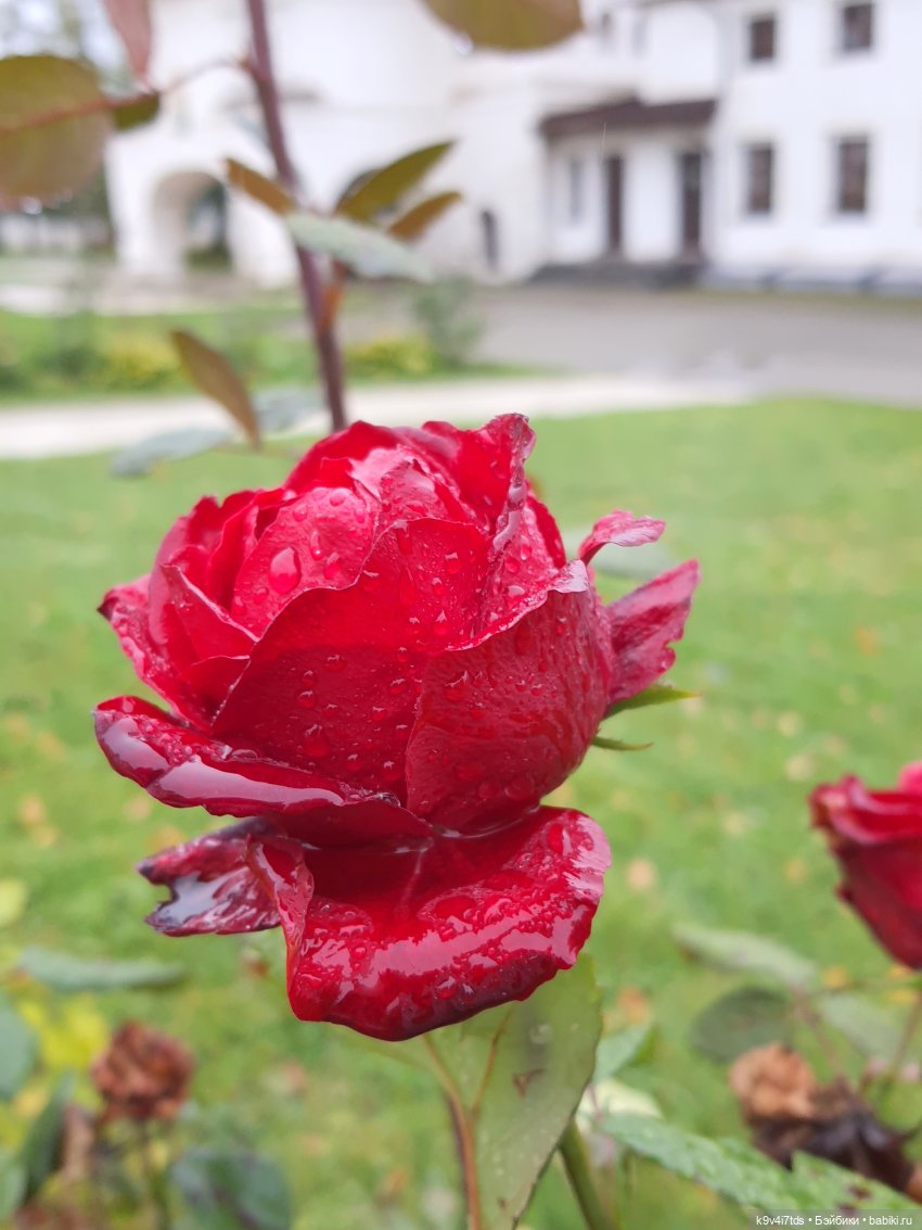 22 сентября. Старицкий Свято-Успенский Монастырь