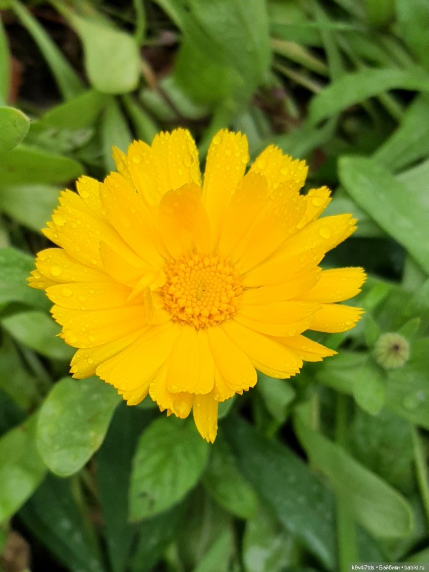 22 сентября. Старицкий Свято-Успенский Монастырь