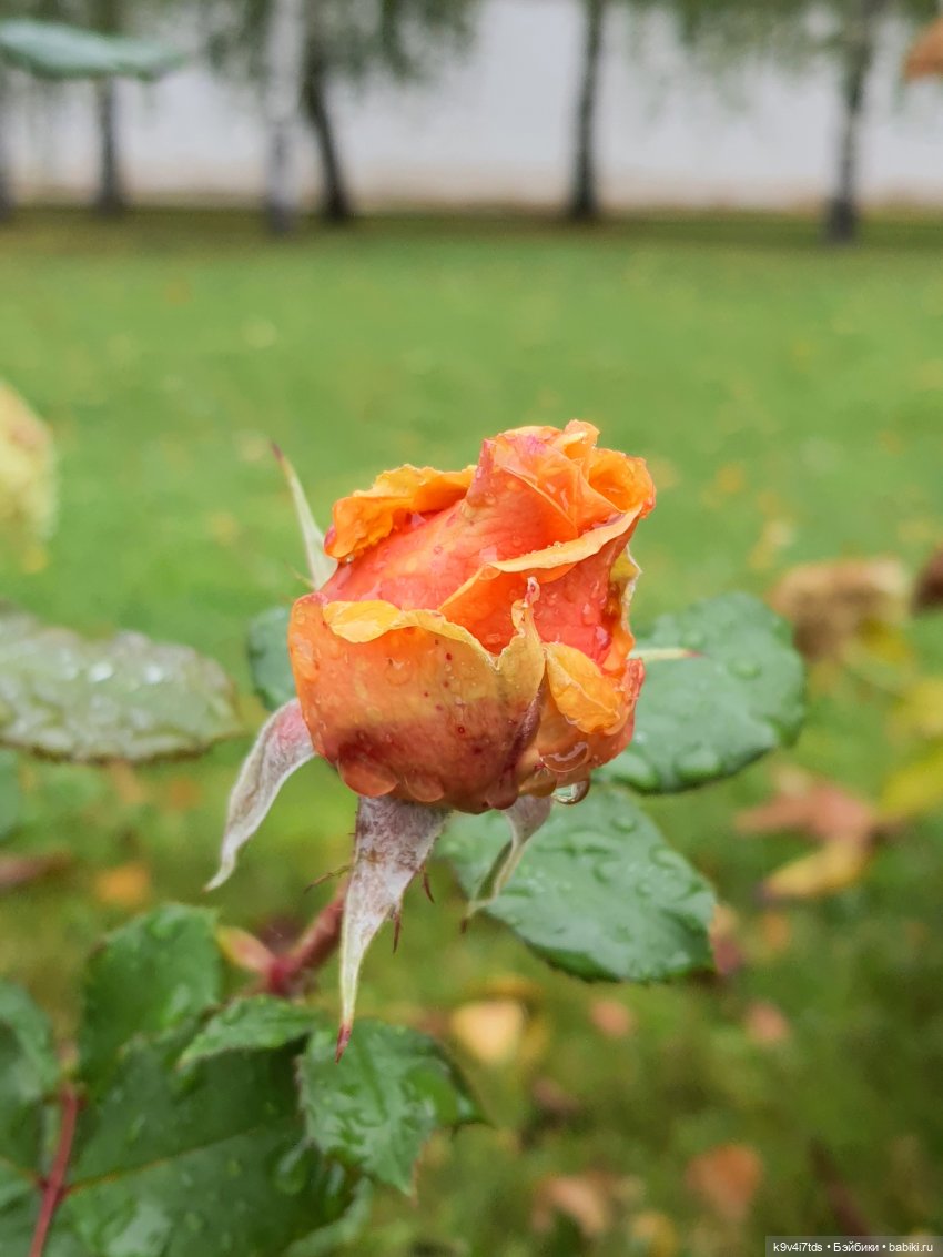 22 сентября. Старицкий Свято-Успенский Монастырь