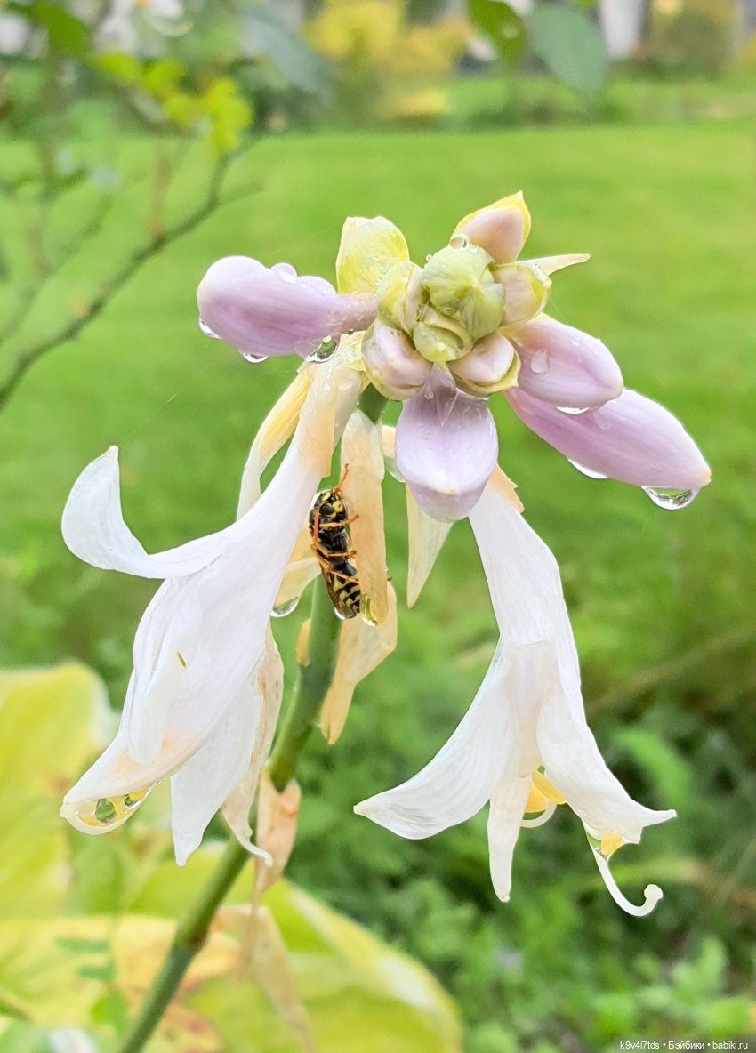 22 сентября. Старицкий Свято-Успенский Монастырь