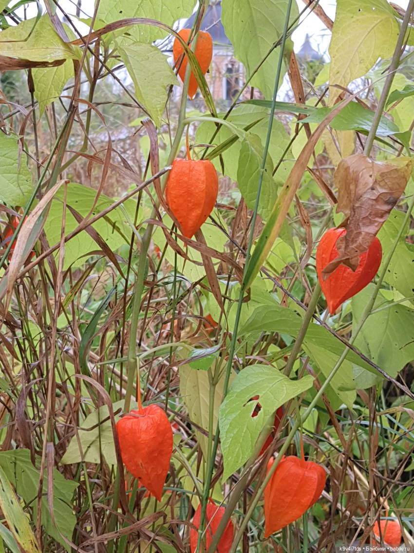 22 сентября. Старицкий Свято-Успенский Монастырь
