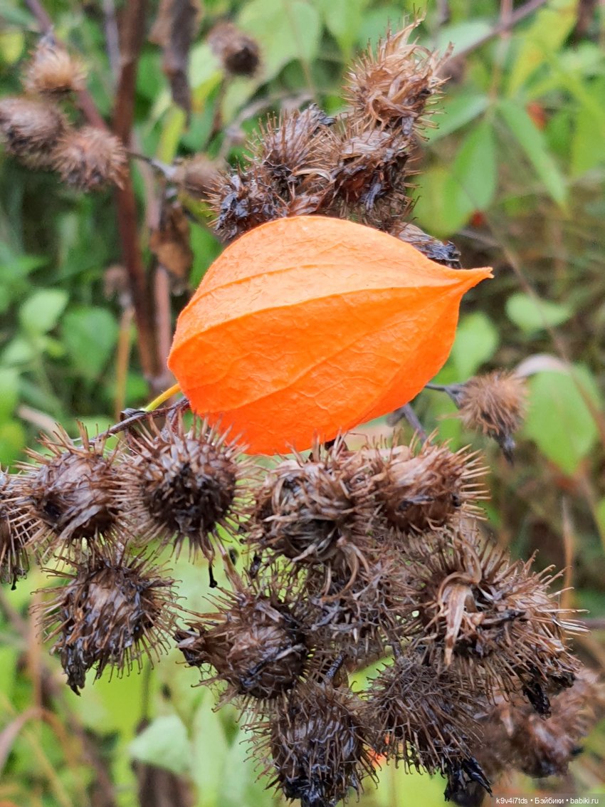 22 сентября. Старицкий Свято-Успенский Монастырь