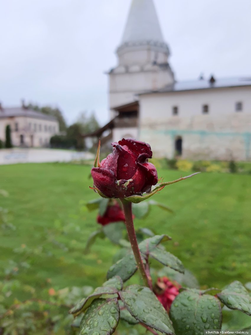 22 сентября. Старицкий Свято-Успенский Монастырь