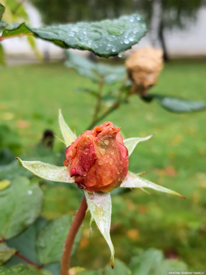 22 сентября. Старицкий Свято-Успенский Монастырь