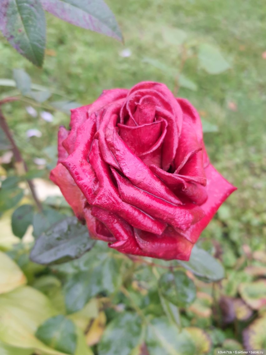 22 сентября. Старицкий Свято-Успенский Монастырь