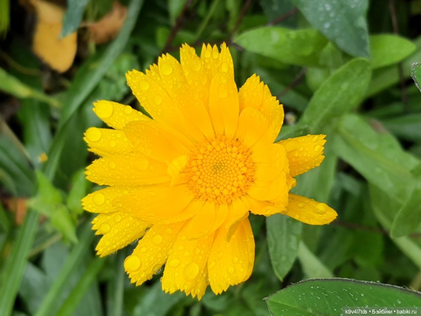 22 сентября. Старицкий Свято-Успенский Монастырь