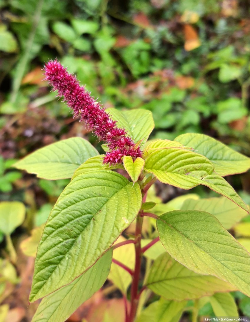 22 сентября. Старицкий Свято-Успенский Монастырь