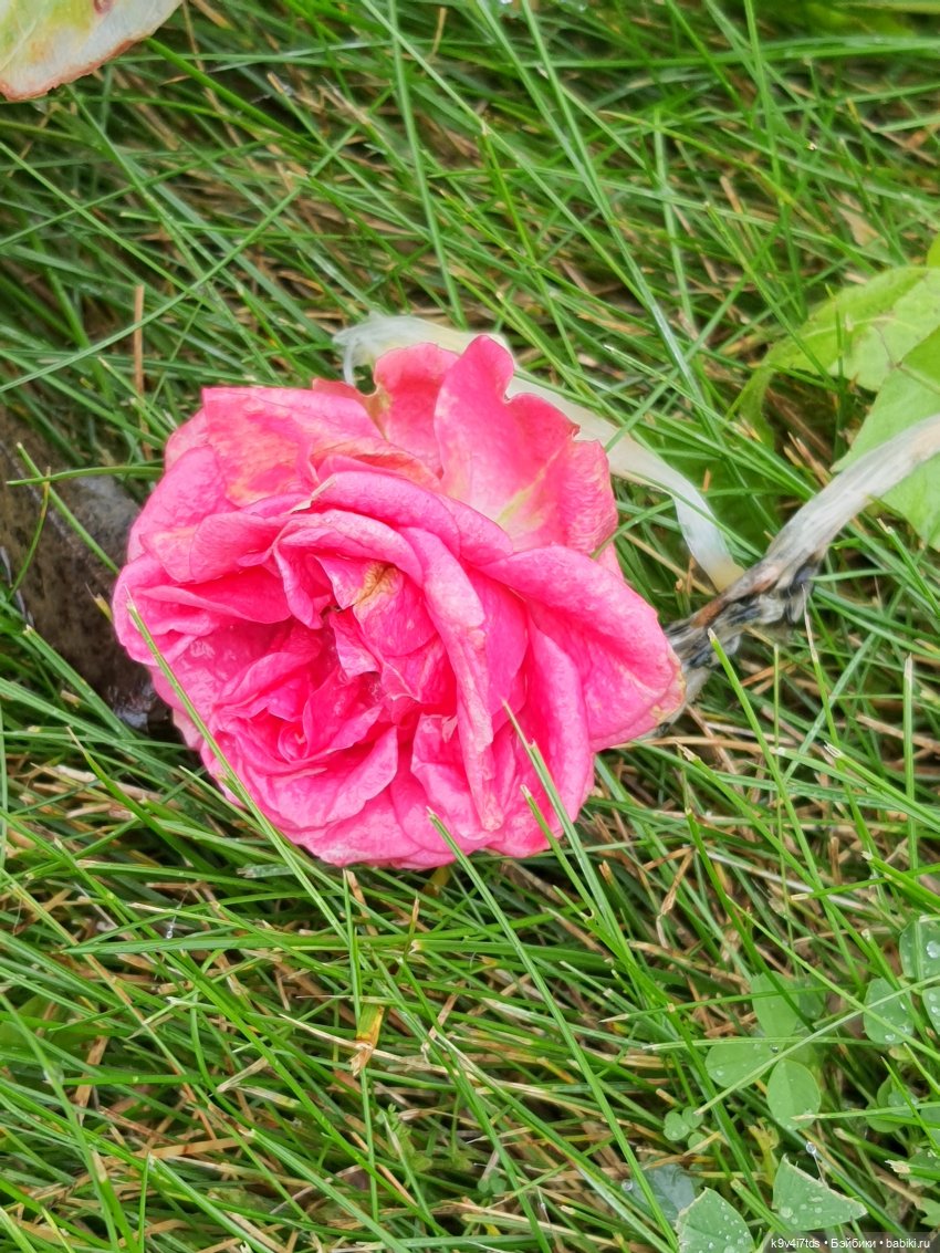 22 сентября. Старицкий Свято-Успенский Монастырь