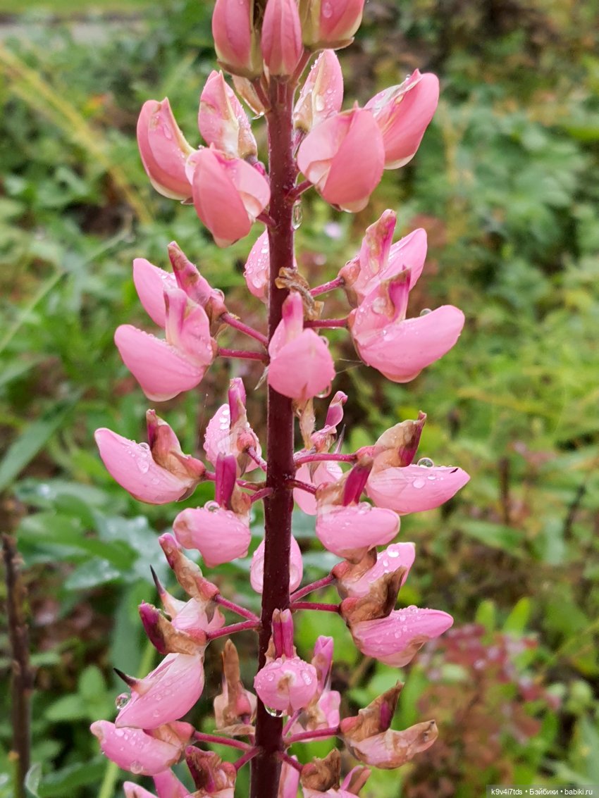 22 сентября. Старицкий Свято-Успенский Монастырь