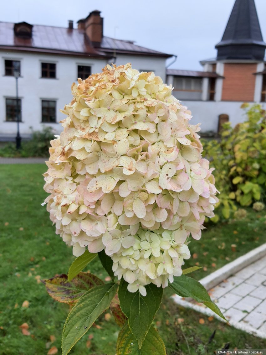 22 сентября. Старицкий Свято-Успенский Монастырь