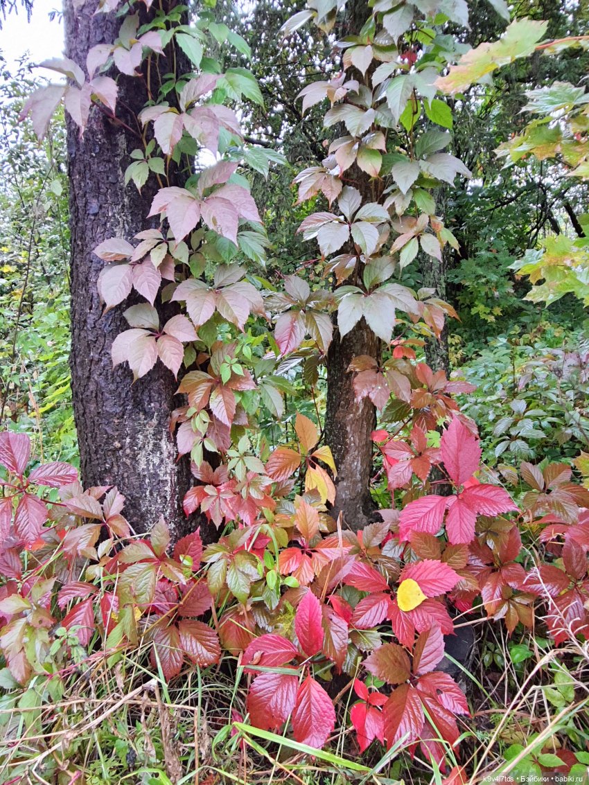 22 сентября. Старицкий Свято-Успенский Монастырь