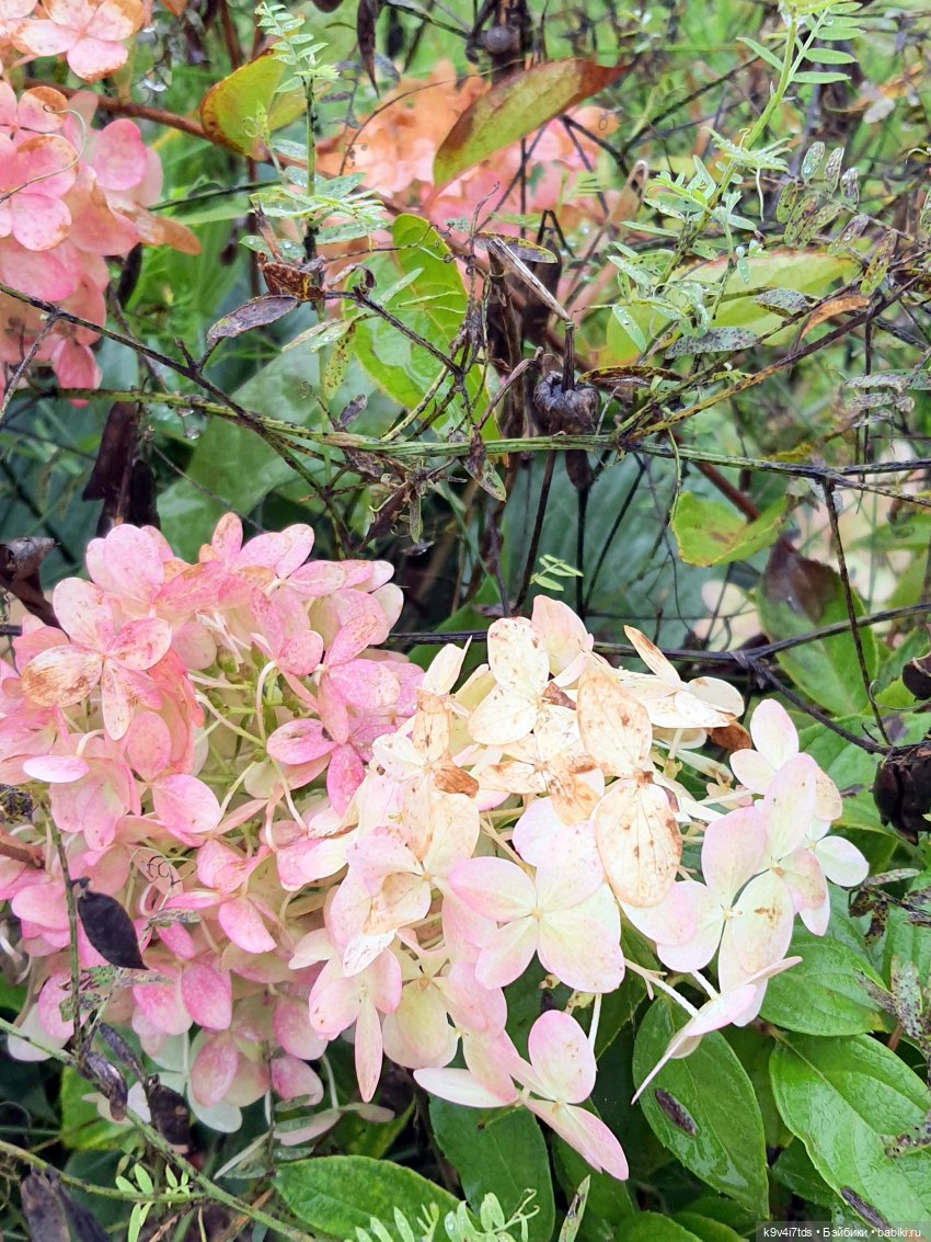 22 сентября. Старицкий Свято-Успенский Монастырь