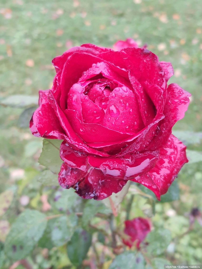 22 сентября. Старицкий Свято-Успенский Монастырь