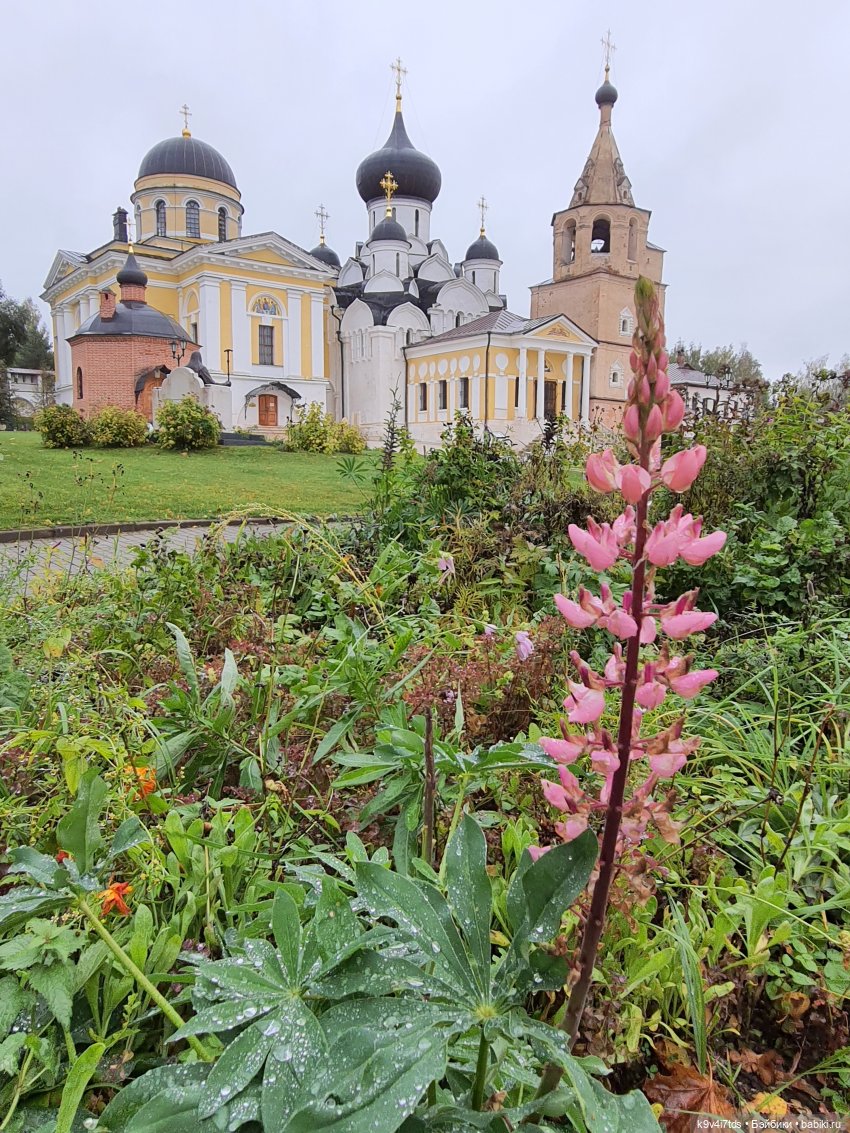 22 сентября. Старицкий Свято-Успенский Монастырь