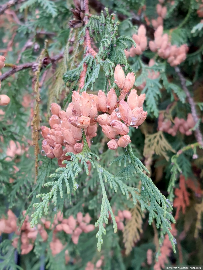 22 сентября. Старицкий Свято-Успенский Монастырь