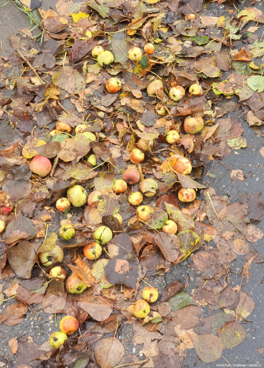 22 сентября. Старицкий Свято-Успенский Монастырь