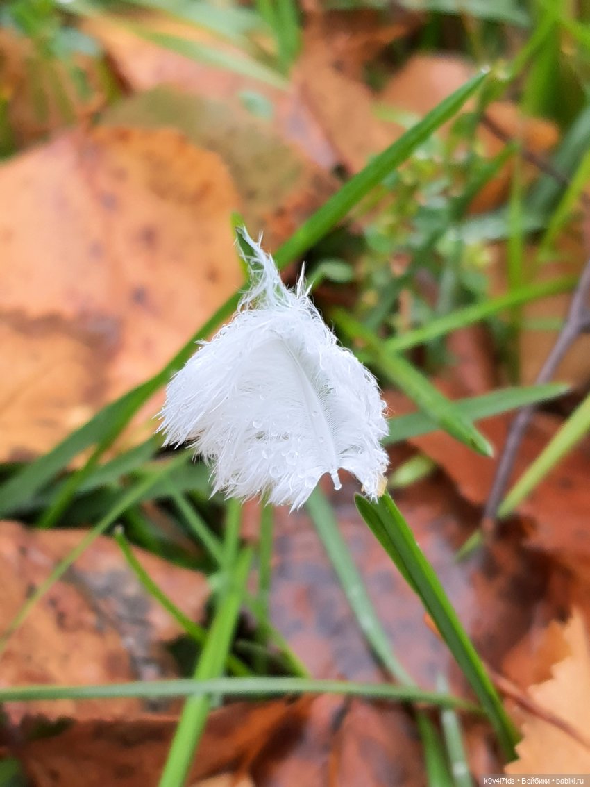 22 сентября. Старицкий Свято-Успенский Монастырь