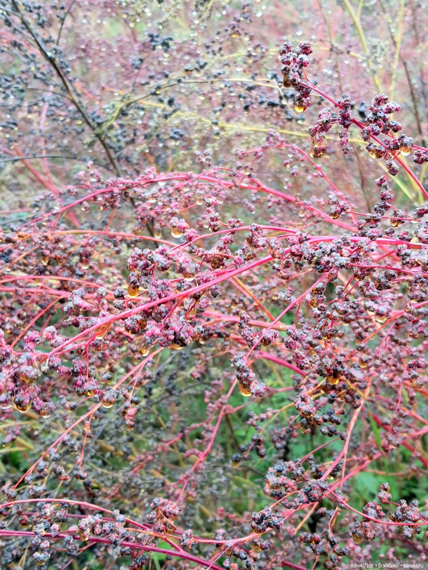 22 сентября. Старицкий Свято-Успенский Монастырь