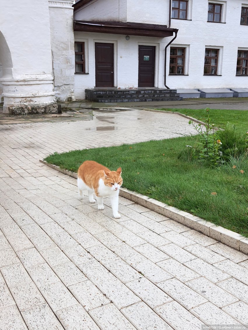 22 сентября. Старицкий Свято-Успенский Монастырь