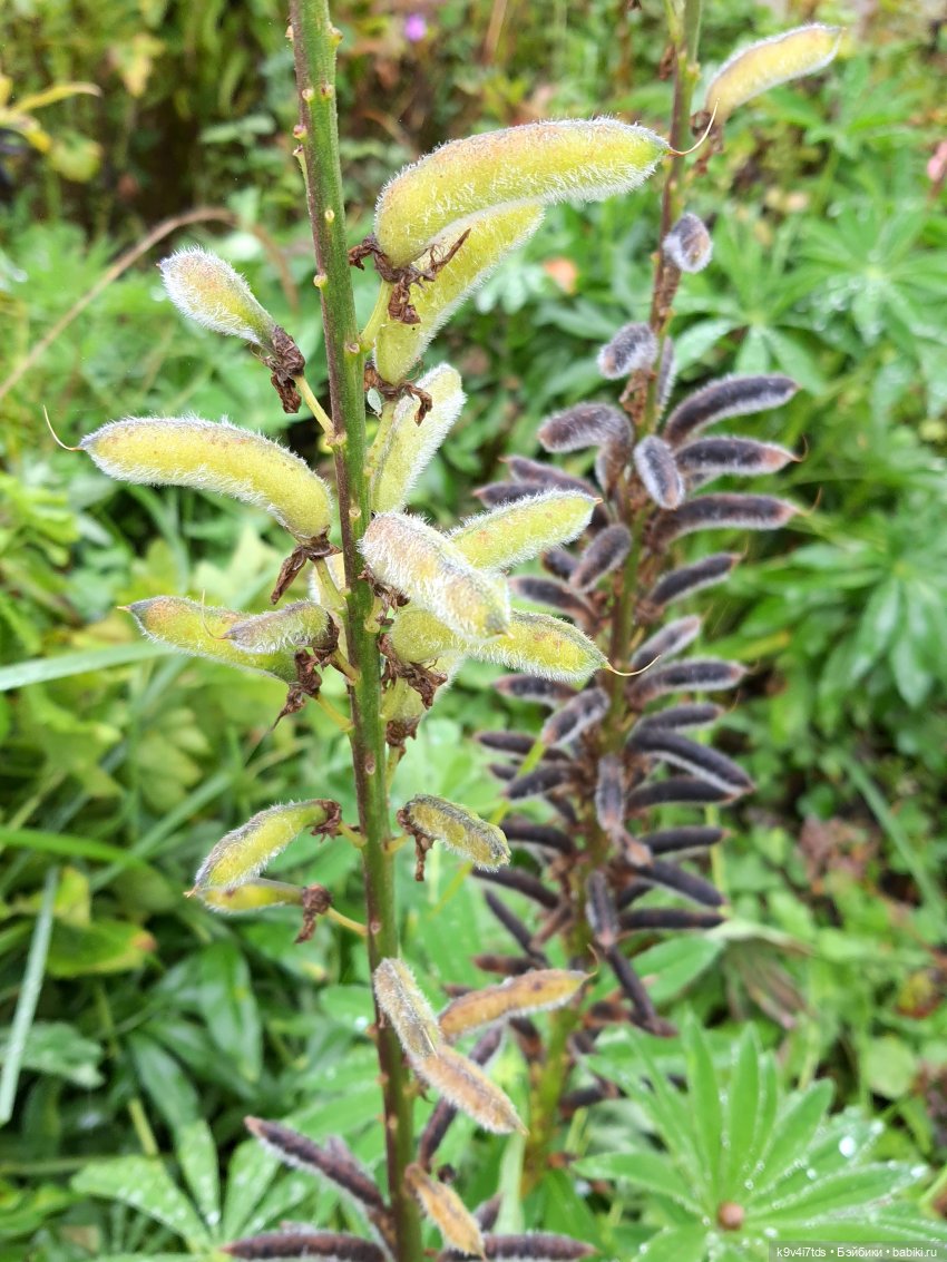 22 сентября. Старицкий Свято-Успенский Монастырь