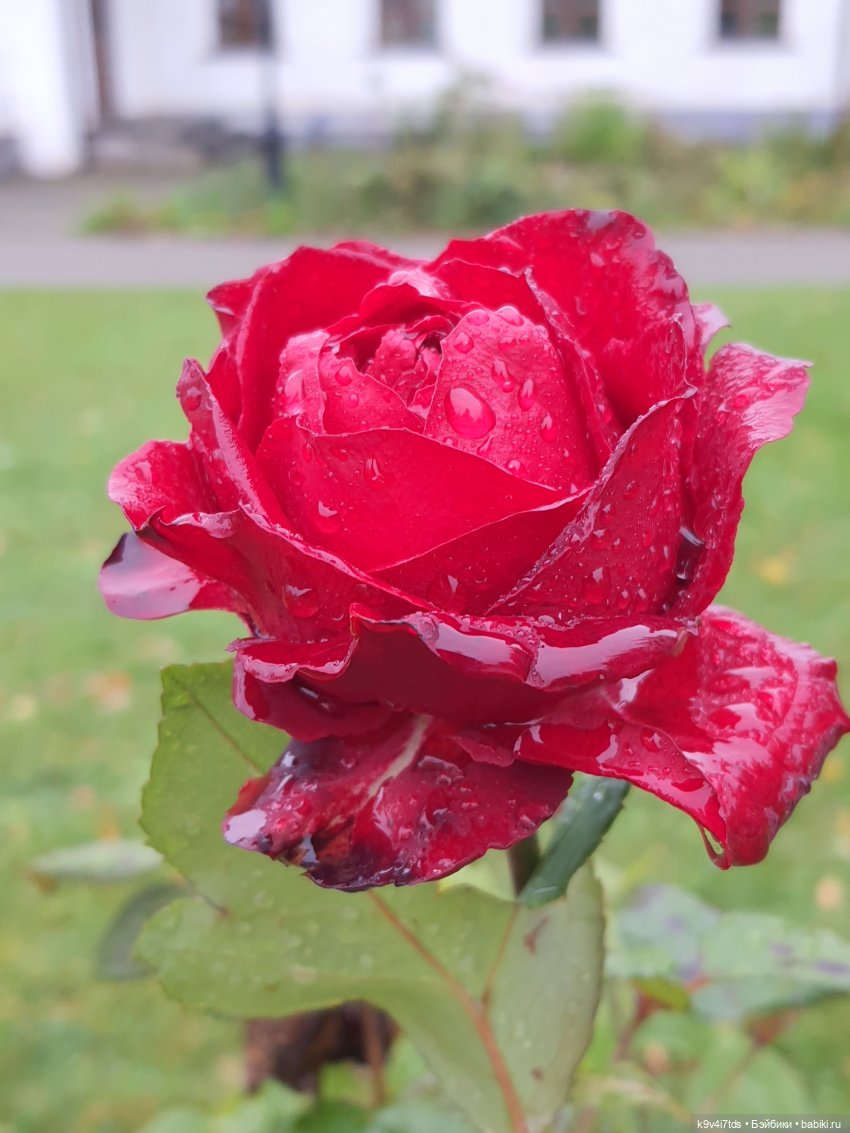 22 сентября. Старицкий Свято-Успенский Монастырь