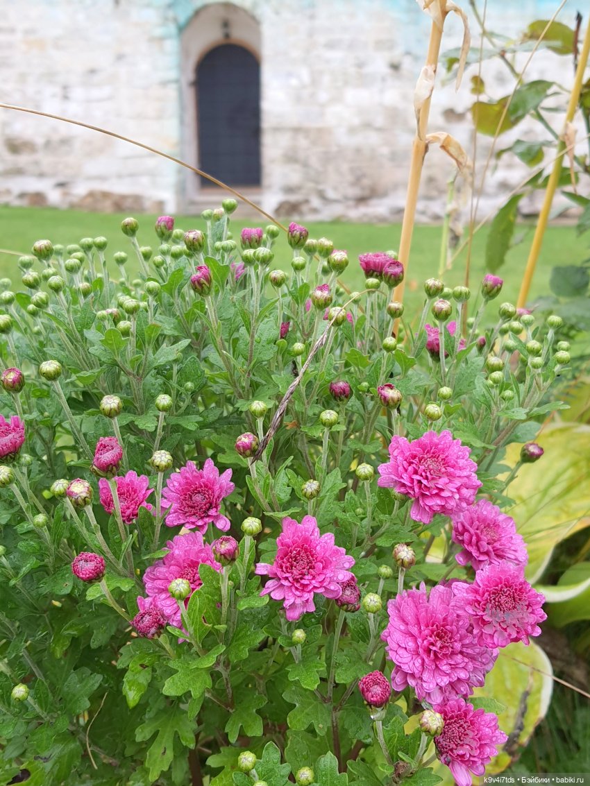 22 сентября. Старицкий Свято-Успенский Монастырь