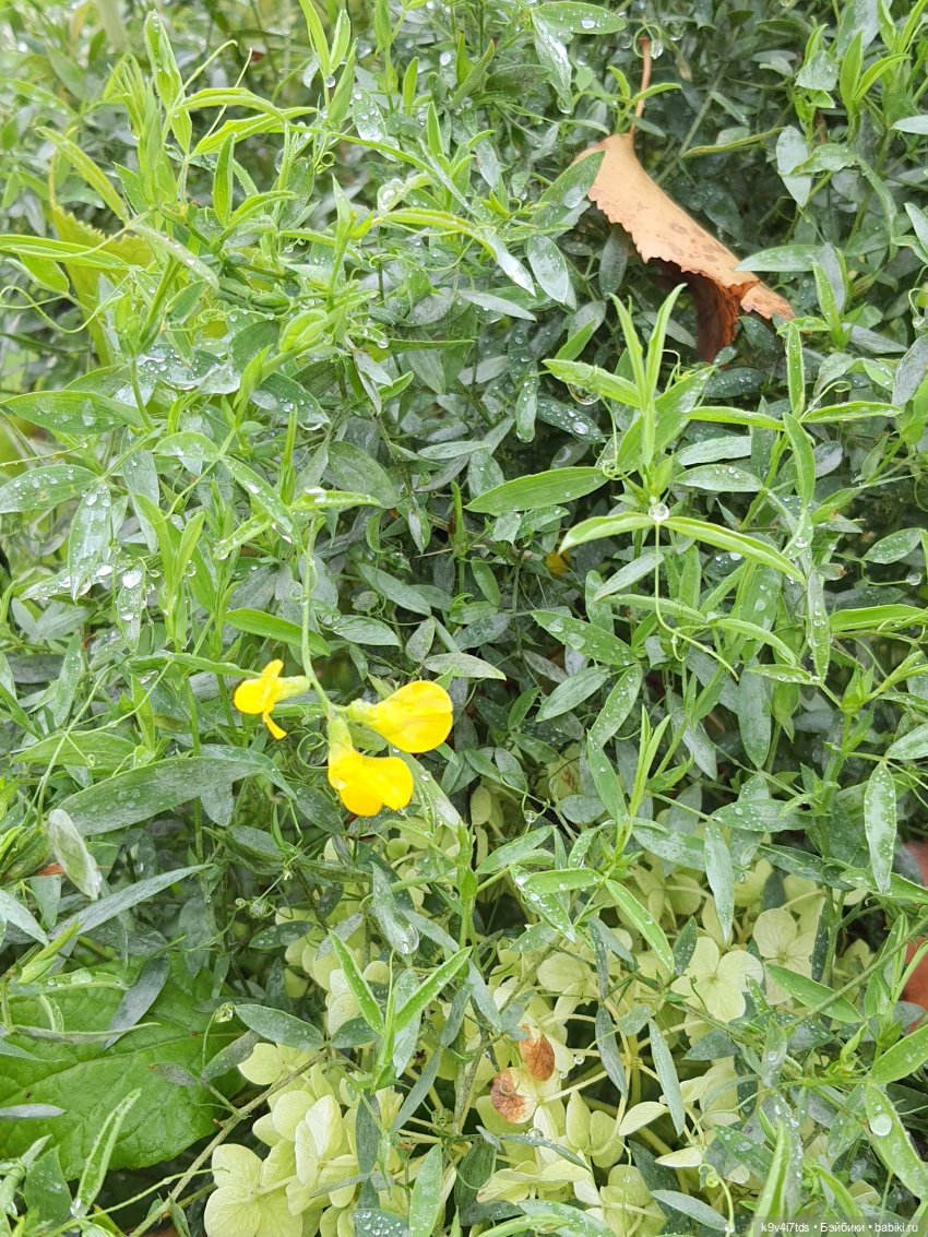 22 сентября. Старицкий Свято-Успенский Монастырь