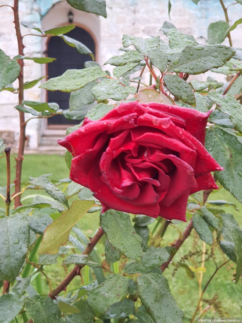 22 сентября. Старицкий Свято-Успенский Монастырь