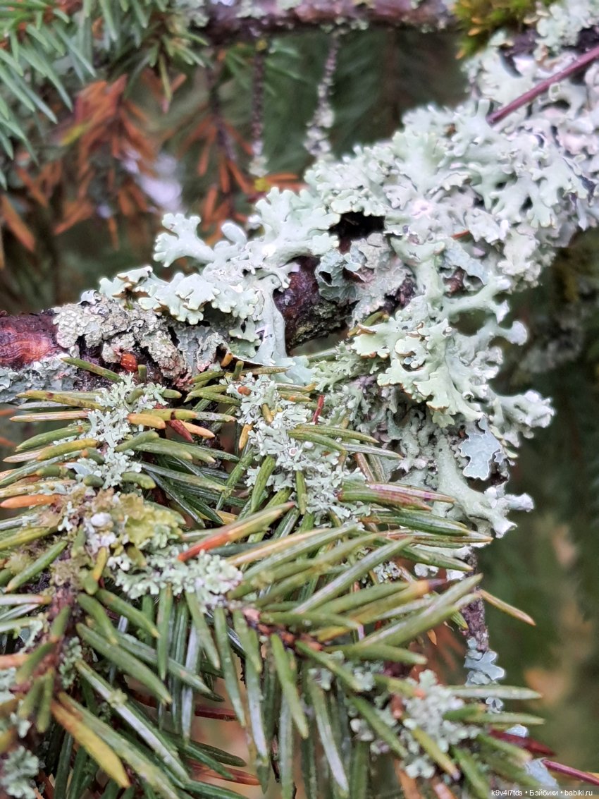 22 сентября. Старицкий Свято-Успенский Монастырь