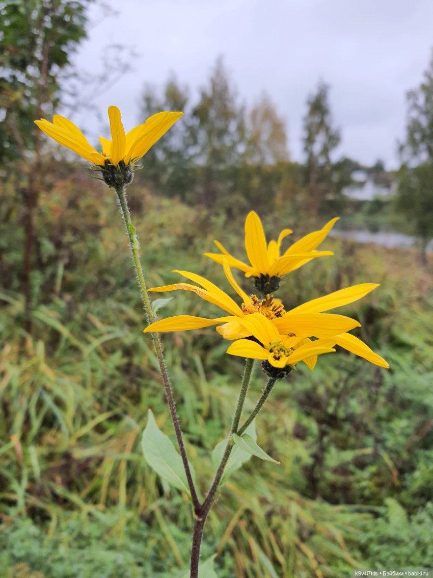 22 сентября. Старицкий Свято-Успенский Монастырь