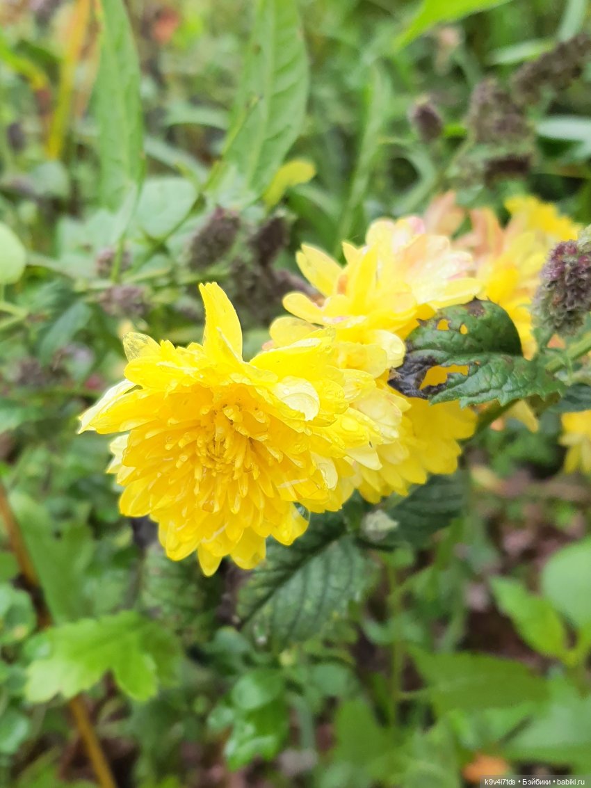 22 сентября. Старицкий Свято-Успенский Монастырь