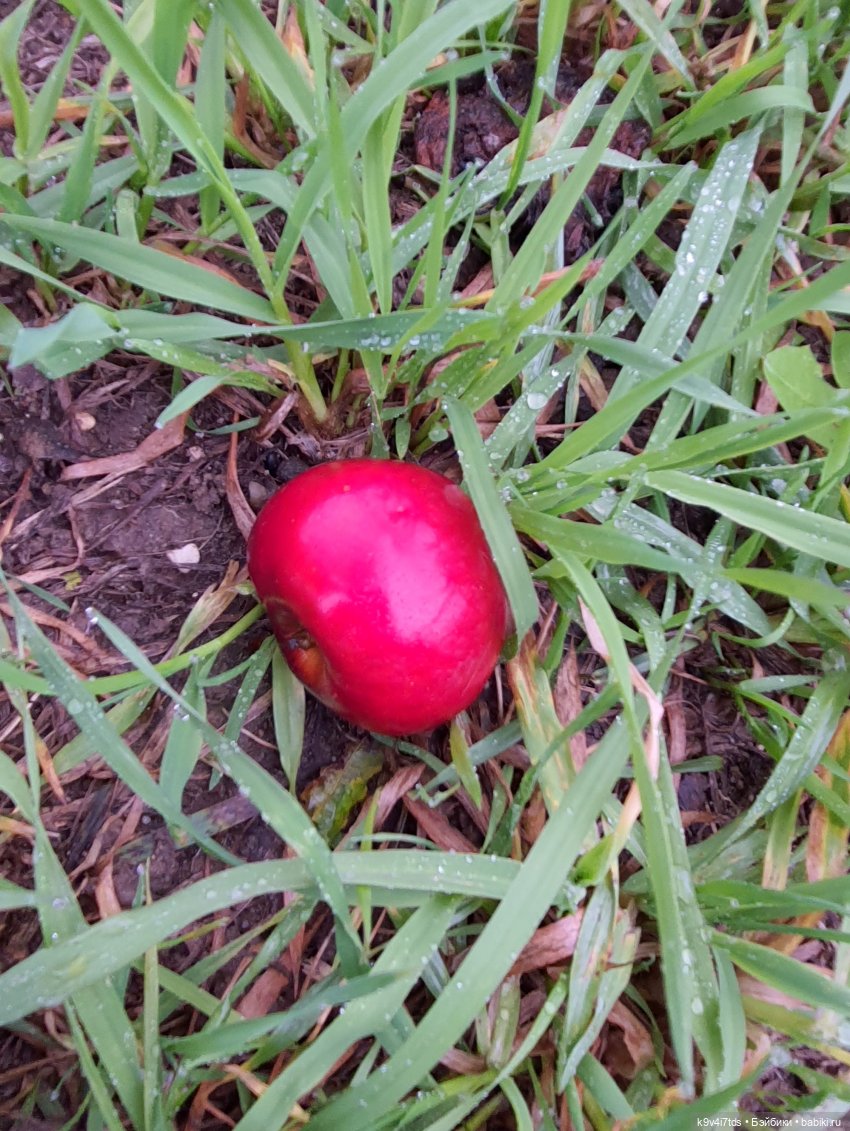 22 сентября. Старицкий Свято-Успенский Монастырь